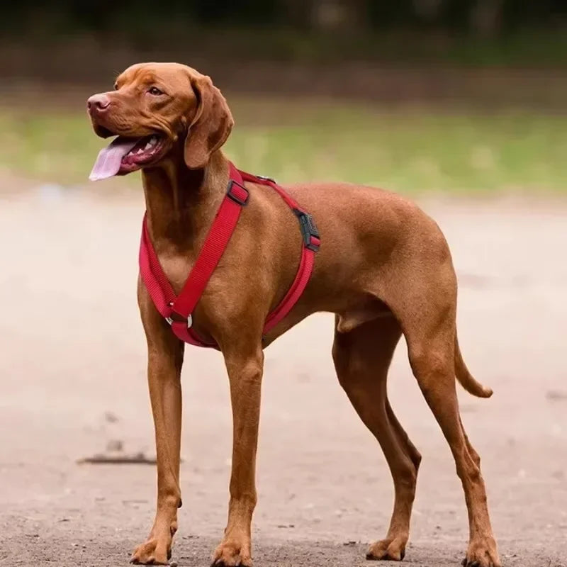 Large Dog Harness XL Nylon Small Breed Medium Dog Vest Harness No Pull Anti Slip Dogs Harnesses H-shaped Outdoors Pet Supplies