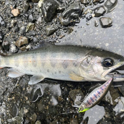 Fishing 50mm 3.5g Swimbaits Bass Big Fish Crankbaits Fishing Lure Floating Wobblers for Pike Minnow Lure Fishing Tackle